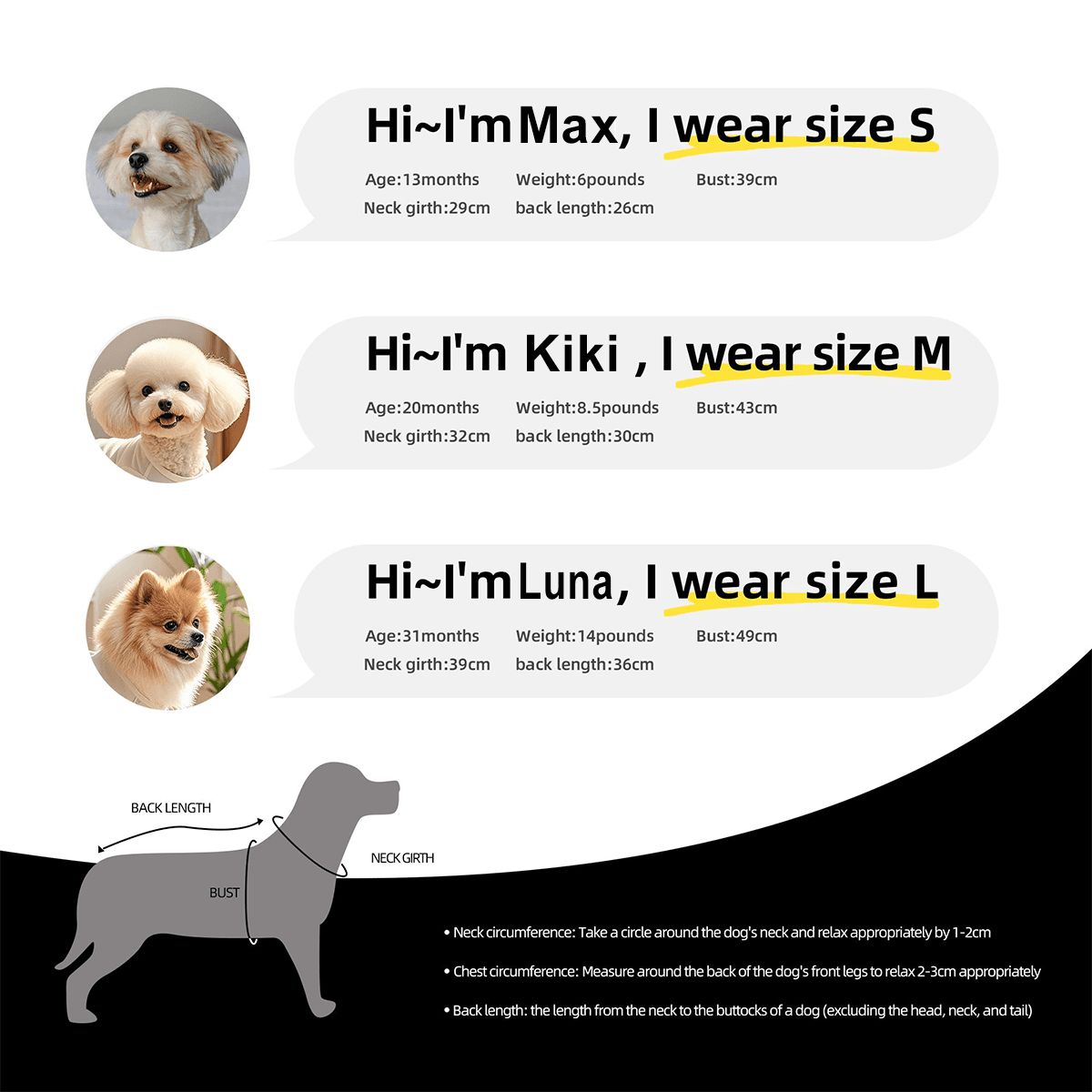 Personalized Memorial Pet Cotton T-shirt – Custom In Loving Memory Pet T-shirt (3 Sizes)